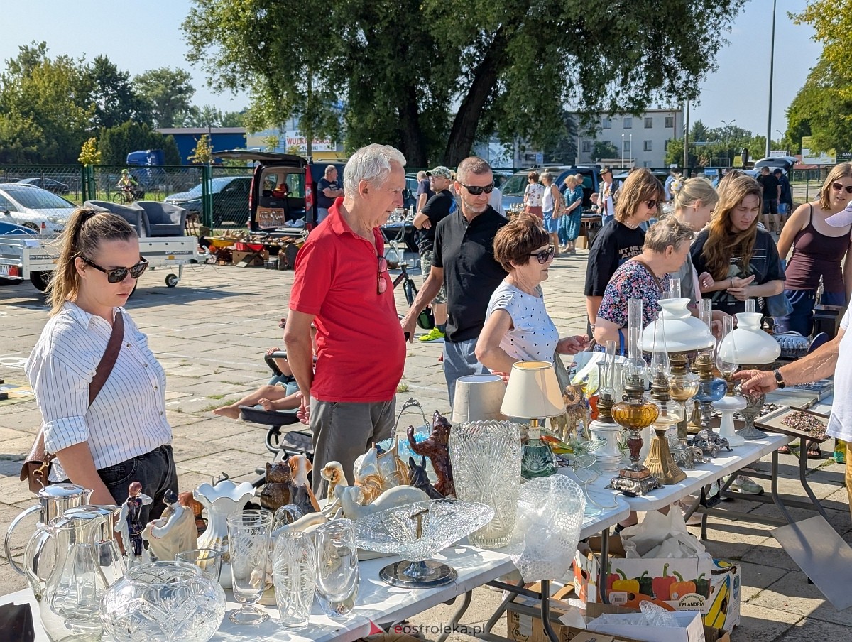 Pchli Targ w Ostrołęce [16.08.2025] - zdjęcie #13 - eOstroleka.pl