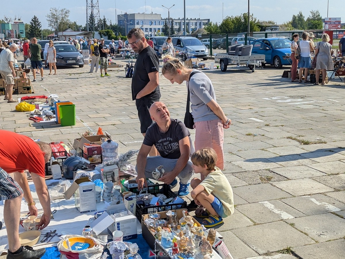 Pchli Targ w Ostrołęce [16.08.2025] - zdjęcie #8 - eOstroleka.pl