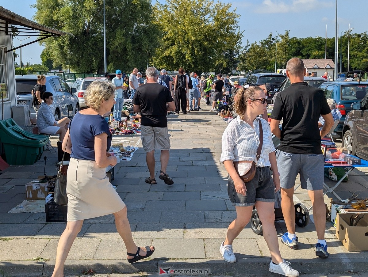 Pchli Targ w Ostrołęce [16.08.2025] - zdjęcie #2 - eOstroleka.pl