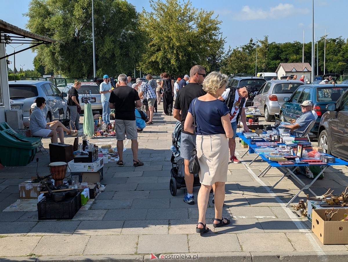 Pchli Targ w Ostrołęce [16.08.2025] - zdjęcie #1 - eOstroleka.pl