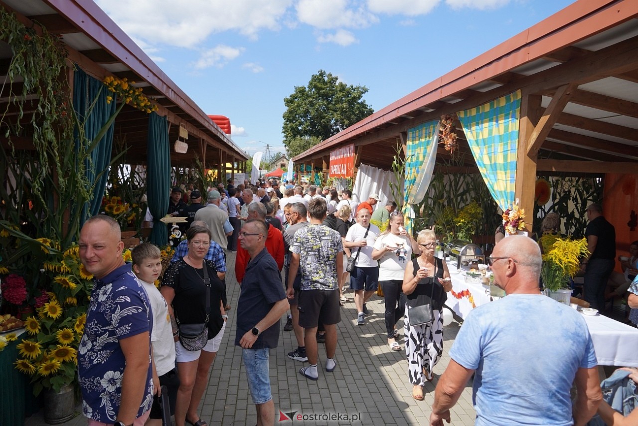 Jarmarki Czerwiński [17.08.2025] - zdjęcie #51 - eOstroleka.pl
