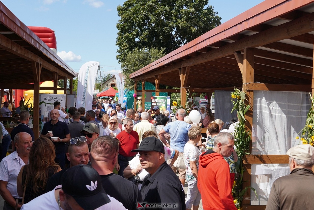 Jarmarki Czerwiński [17.08.2025] - zdjęcie #49 - eOstroleka.pl