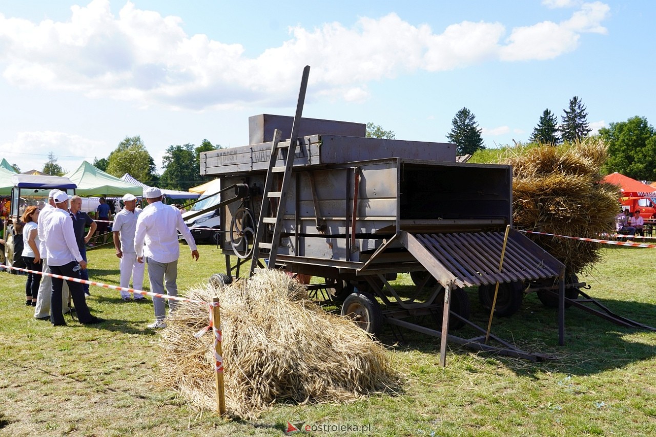 Jarmarki Czerwiński [17.08.2025] - zdjęcie #17 - eOstroleka.pl