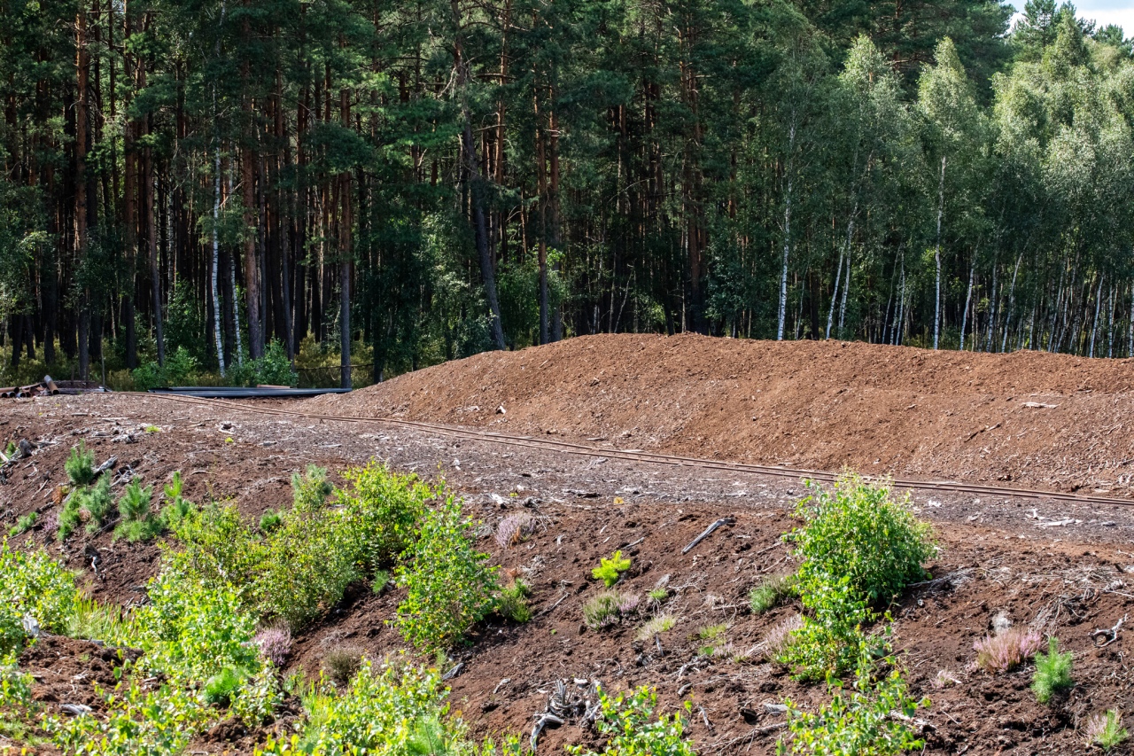 Rezerwat przyrody torfowisko Karaska [fot. P. Kuskowski] - zdjęcie #12 - eOstroleka.pl