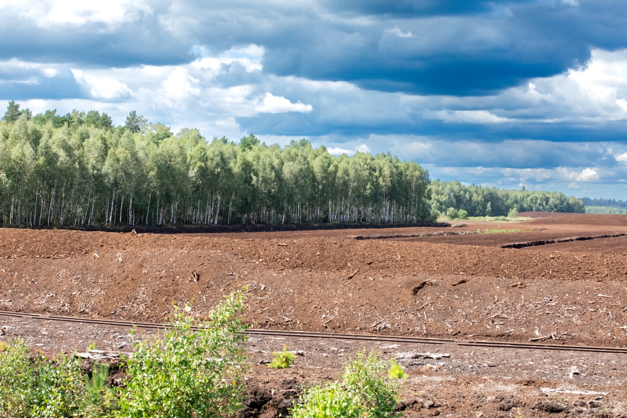 Rezerwat przyrody torfowisko Karaska [fot. P. Kuskowski] - zdjęcie #13 - eOstroleka.pl