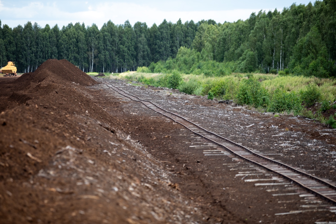 Rezerwat przyrody torfowisko Karaska [fot. P. Kuskowski] - zdjęcie #28 - eOstroleka.pl