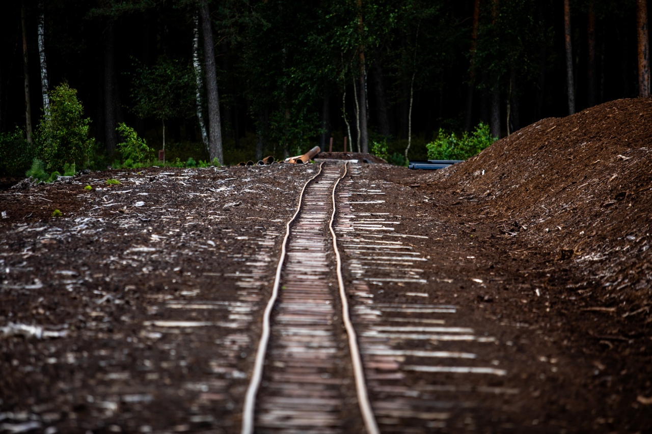 Rezerwat przyrody torfowisko Karaska [fot. P. Kuskowski] - zdjęcie #31 - eOstroleka.pl