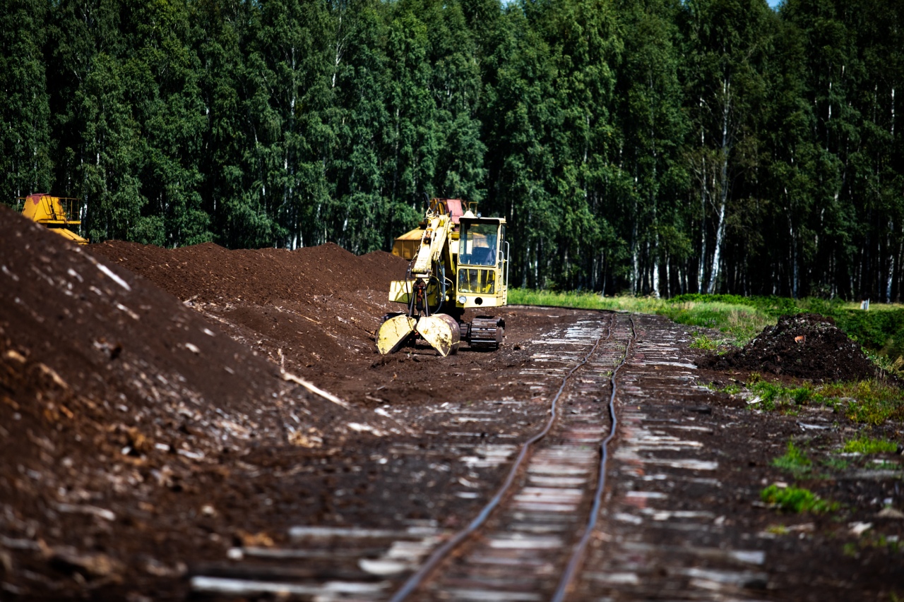 Rezerwat przyrody torfowisko Karaska [fot. P. Kuskowski] - zdjęcie #32 - eOstroleka.pl