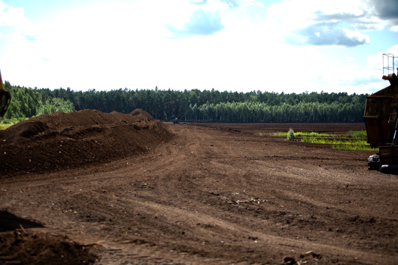 Rezerwat przyrody torfowisko Karaska [fot. P. Kuskowski] - zdjęcie #44 - eOstroleka.pl