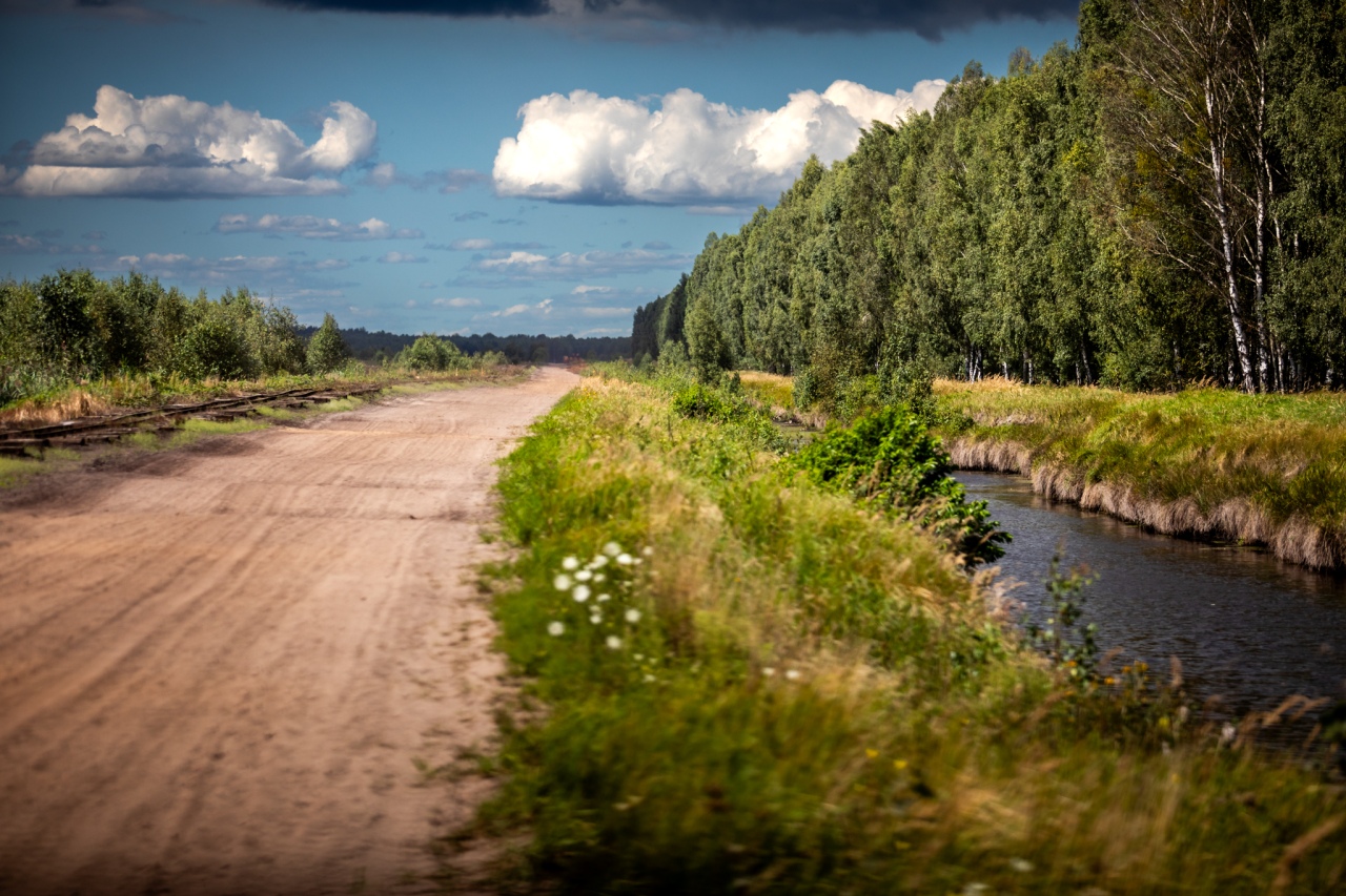 Rezerwat przyrody torfowisko Karaska [fot. P. Kuskowski] - zdjęcie #46 - eOstroleka.pl