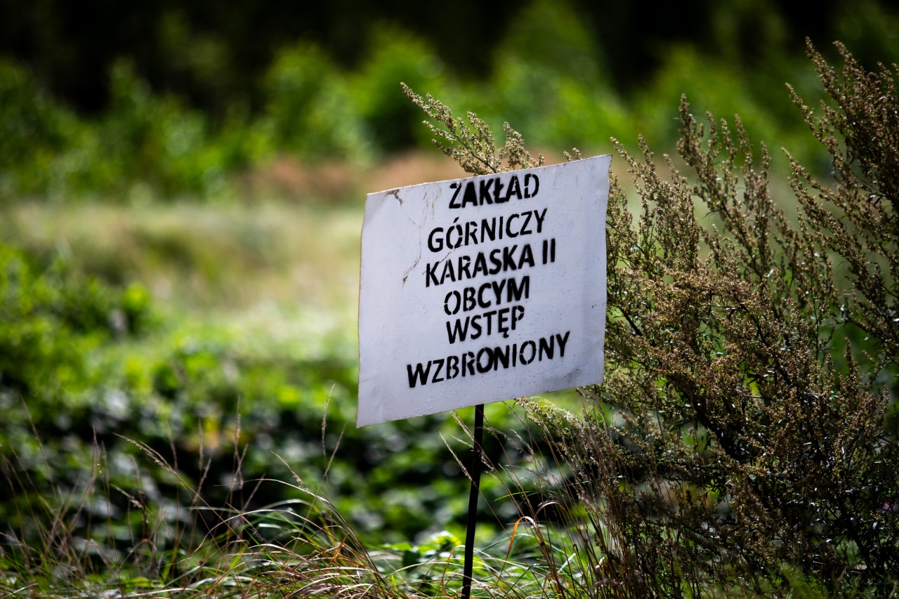 Rezerwat przyrody torfowisko Karaska [fot. P. Kuskowski] - zdjęcie #48 - eOstroleka.pl