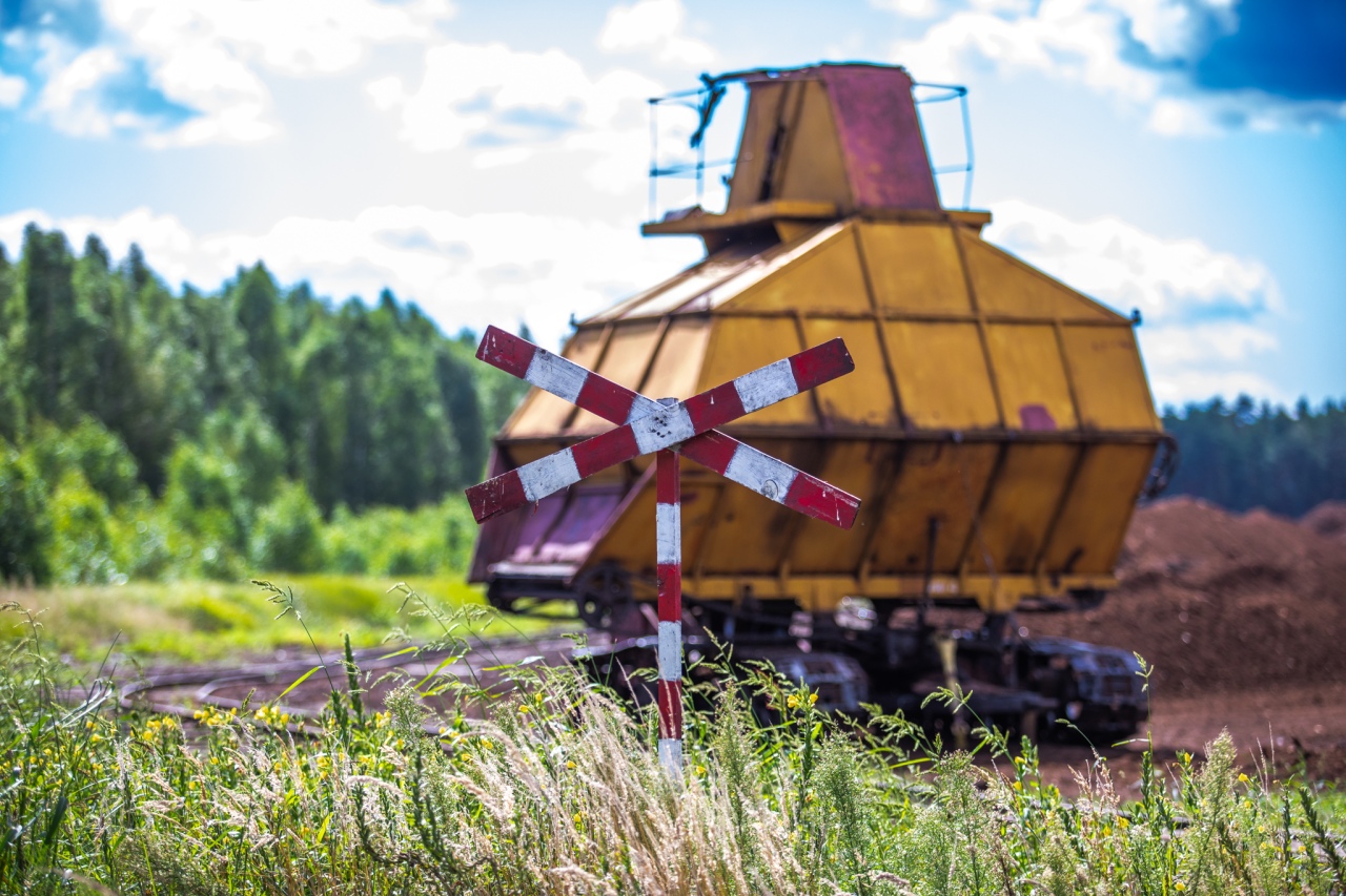 Rezerwat przyrody torfowisko Karaska [fot. P. Kuskowski] - zdjęcie #49 - eOstroleka.pl