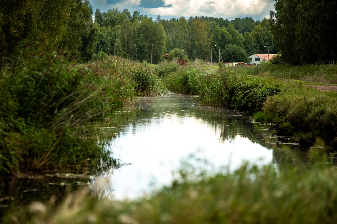 Rezerwat przyrody torfowisko Karaska [fot. P. Kuskowski] - zdjęcie #57 - eOstroleka.pl
