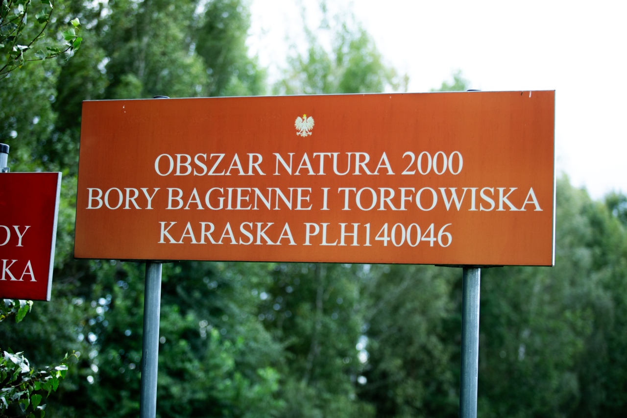 Rezerwat przyrody torfowisko Karaska [fot. P. Kuskowski] - zdjęcie #60 - eOstroleka.pl