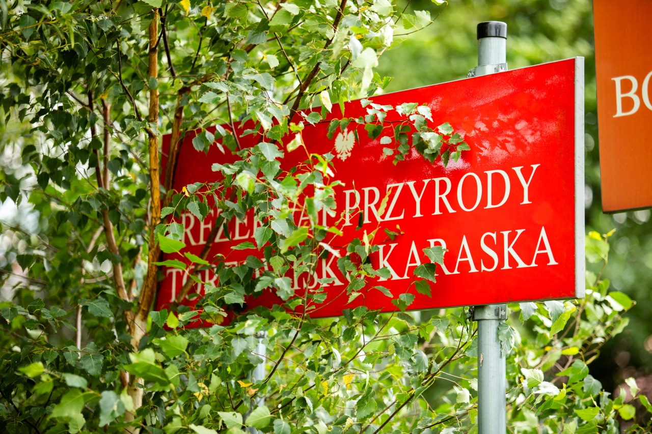 Rezerwat przyrody torfowisko Karaska [fot. P. Kuskowski] - zdjęcie #61 - eOstroleka.pl