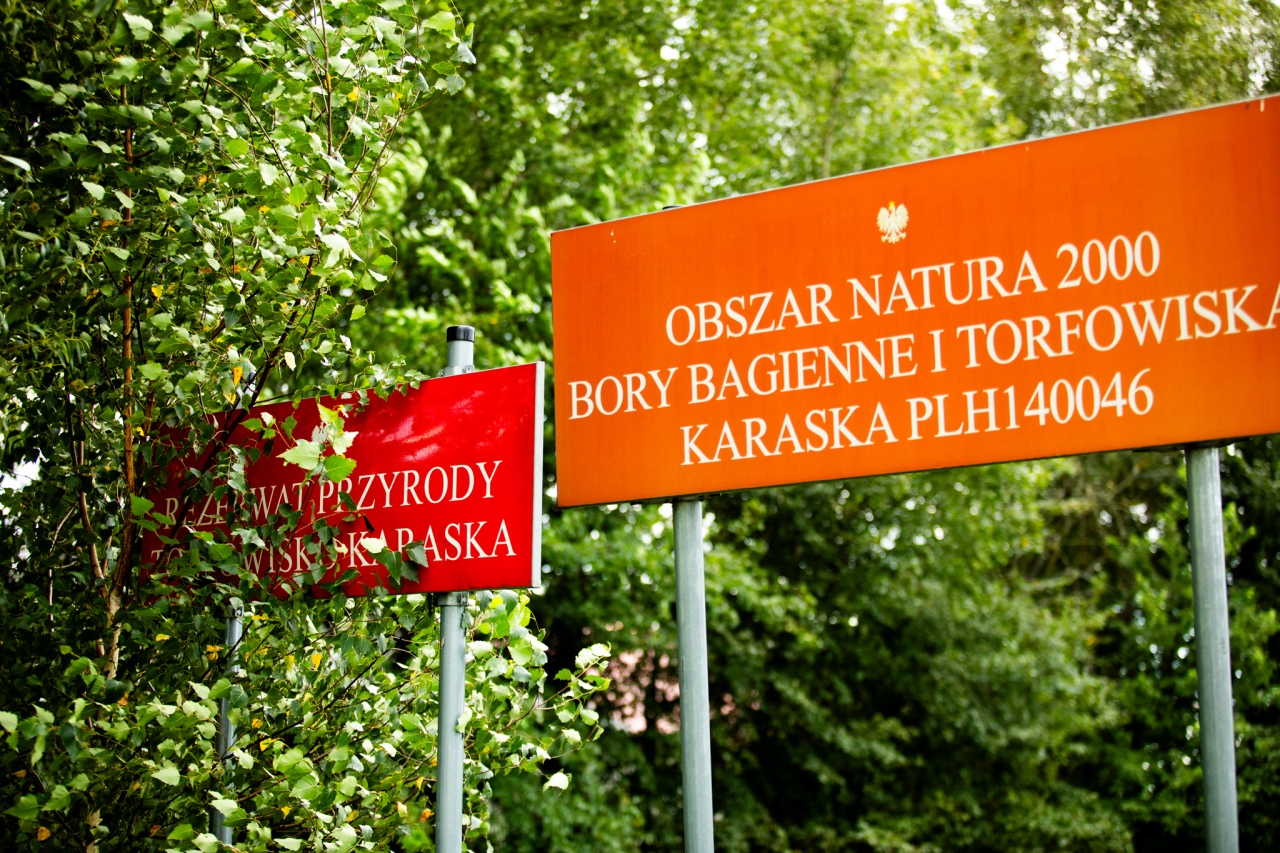 Rezerwat przyrody torfowisko Karaska [fot. P. Kuskowski] - zdjęcie #62 - eOstroleka.pl