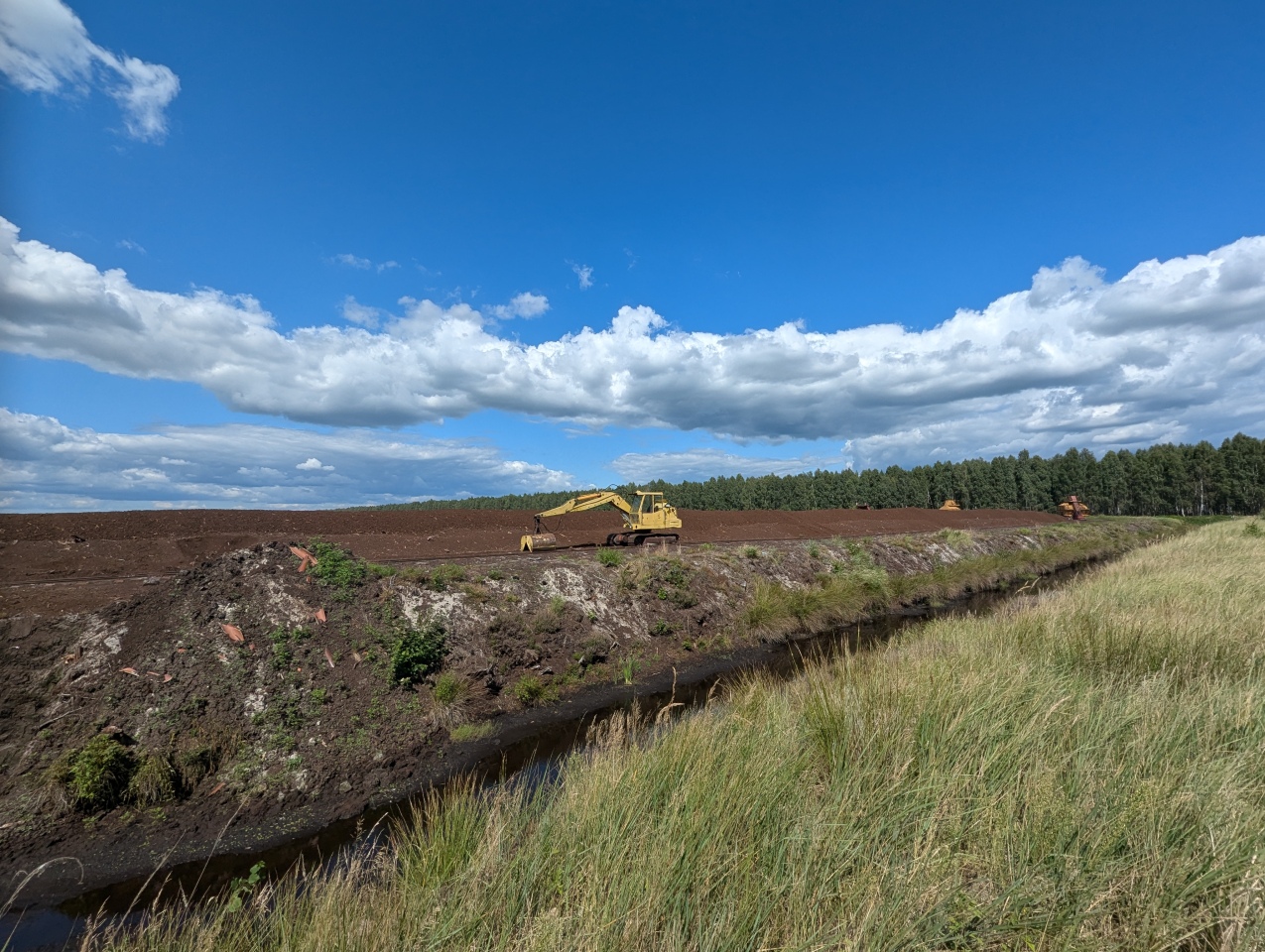 Rezerwat przyrody torfowisko Karaska [fot. P. Kuskowski] - zdjęcie #65 - eOstroleka.pl