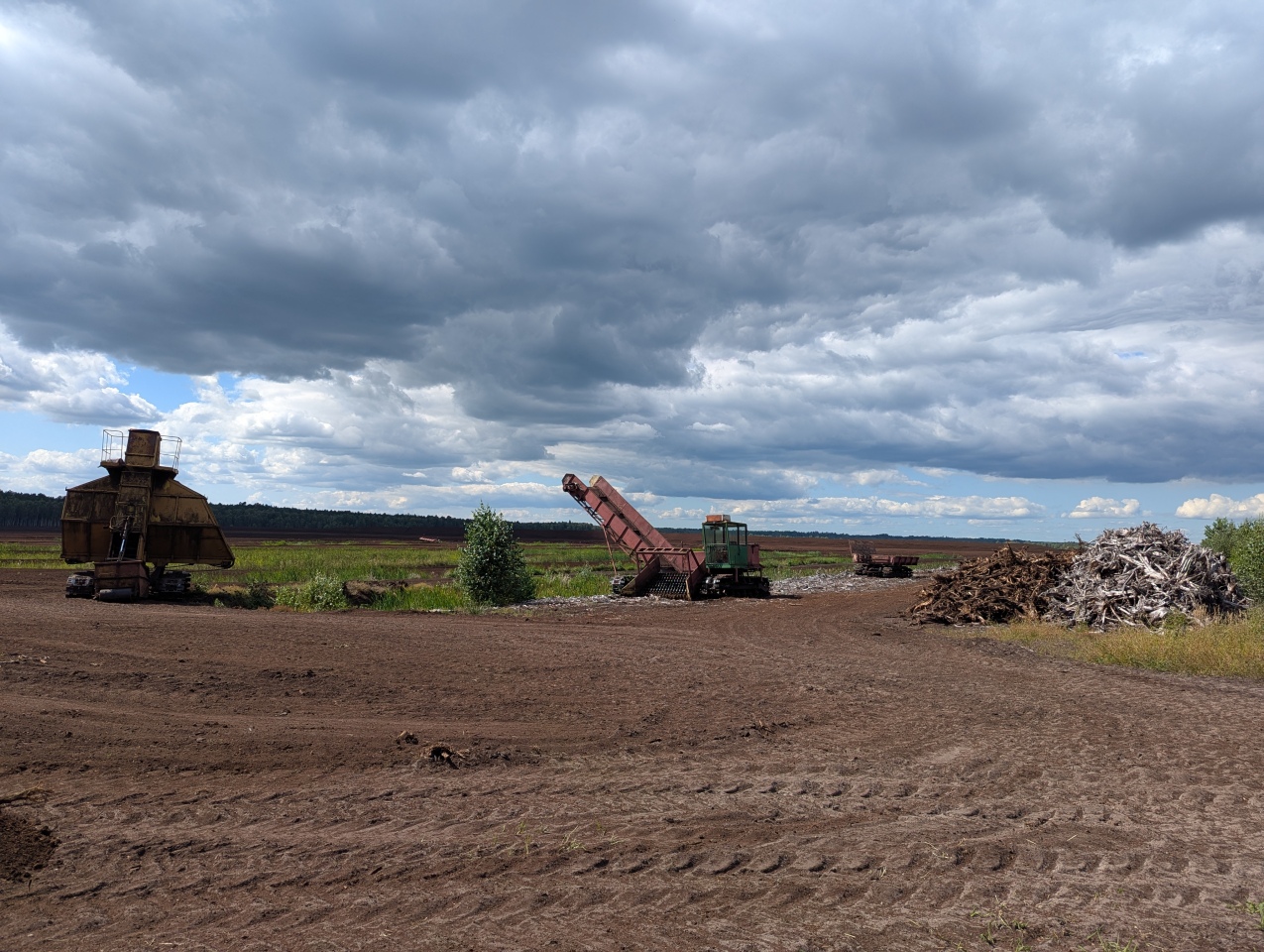 Rezerwat przyrody torfowisko Karaska [fot. P. Kuskowski] - zdjęcie #68 - eOstroleka.pl
