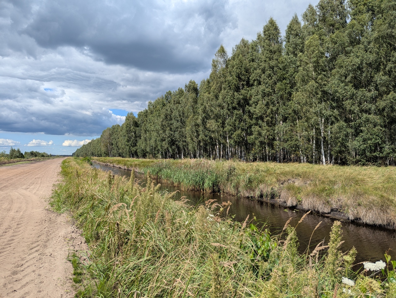 Rezerwat przyrody torfowisko Karaska [fot. P. Kuskowski] - zdjęcie #69 - eOstroleka.pl
