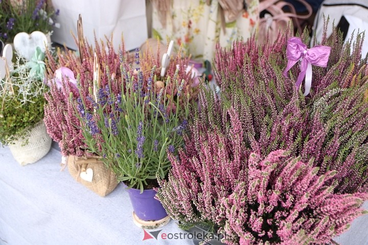 Festyn rodzinny w Tobolicach [23.08.2025] - zdjęcie #63 - eOstroleka.pl