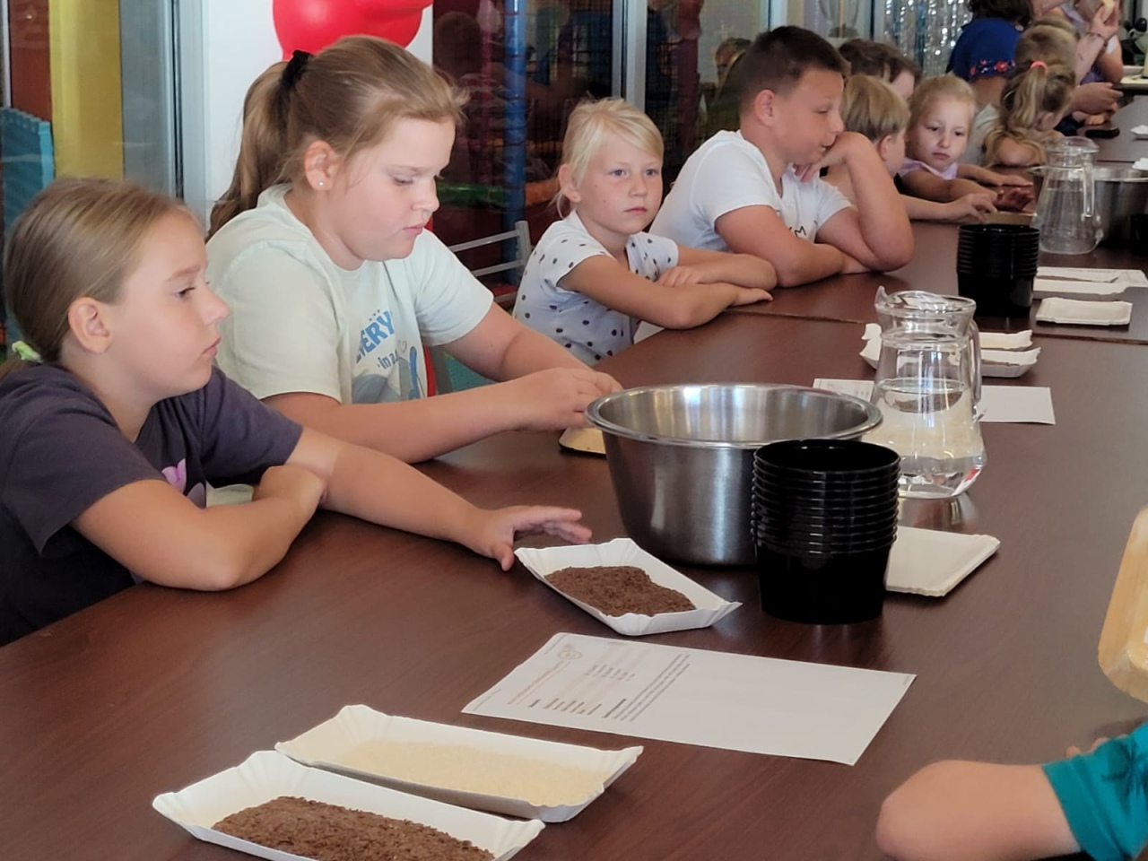 Wakacje w Mieście 2025 - sala zabaw Morska Kraina - zdjęcie #79 - eOstroleka.pl