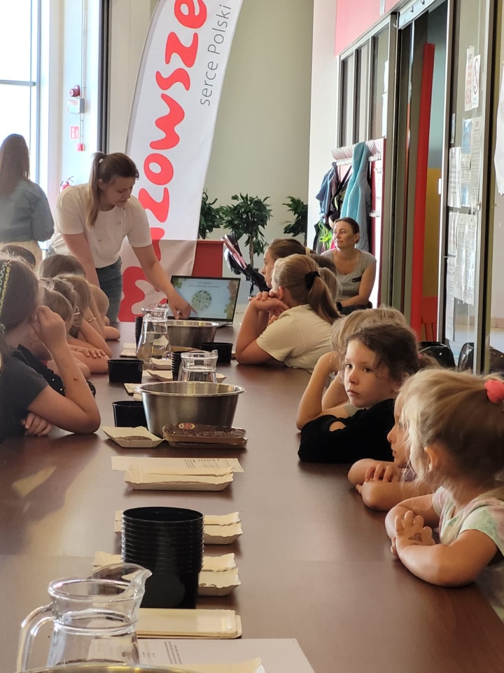 Wakacje w Mieście 2025 - sala zabaw Morska Kraina - zdjęcie #73 - eOstroleka.pl