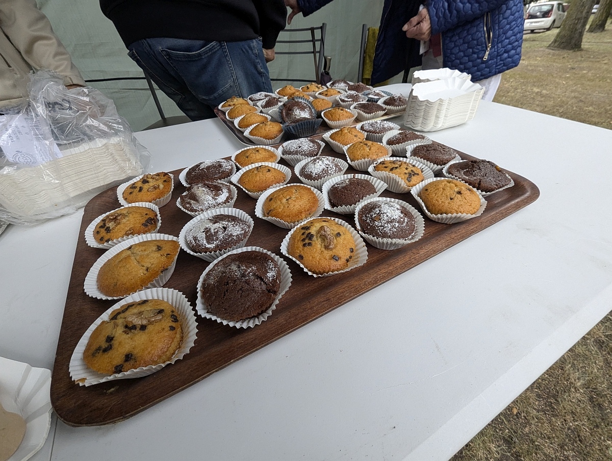 Wakacyjne spotkanie w parku [24.08.2025] - zdjęcie #151 - eOstroleka.pl