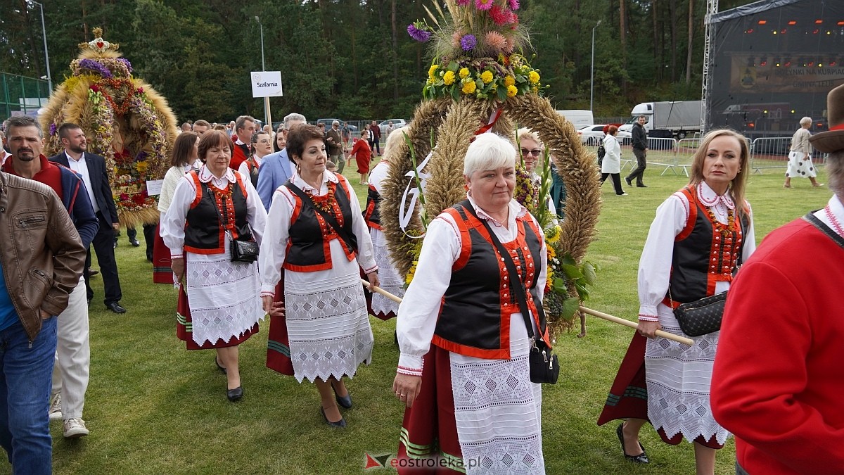Dożynki Regionalne na Kurpiach w Lelisie [24.08.2025] - zdjęcie #226 - eOstroleka.pl