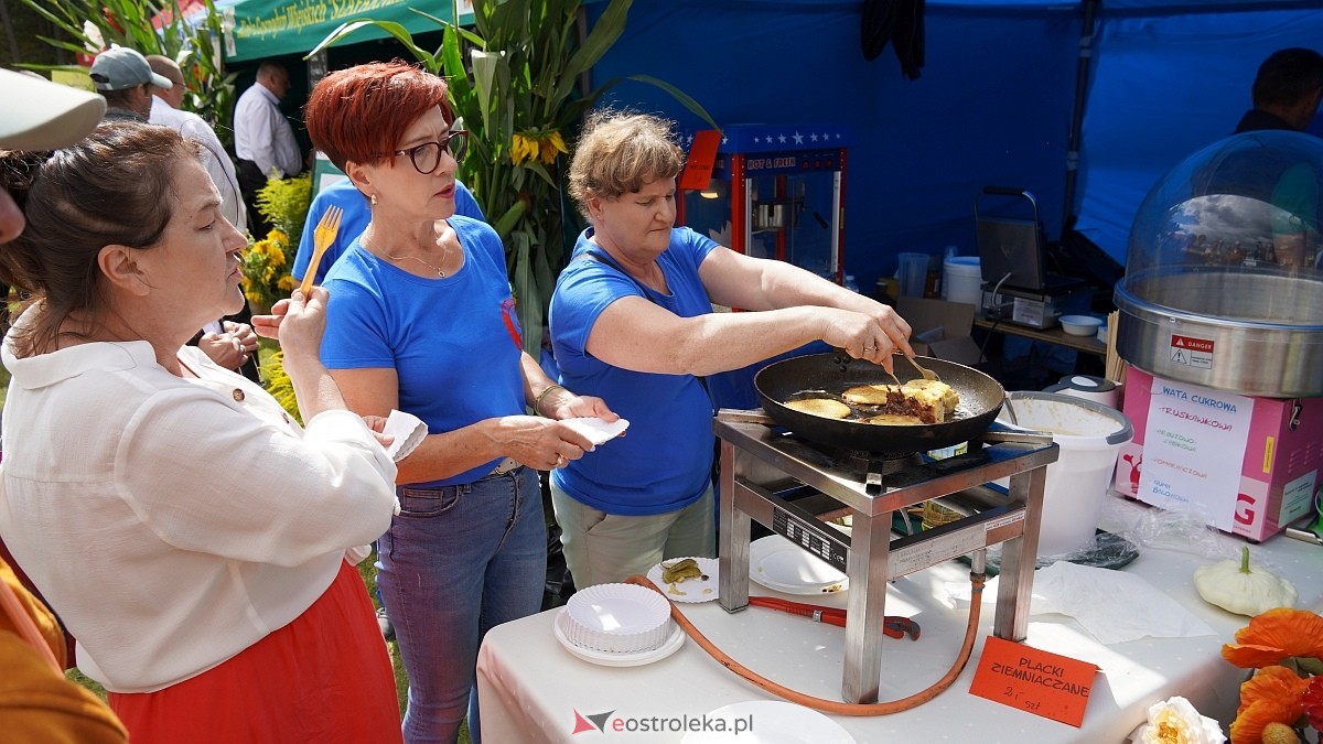 Dożynki Regionalne na Kurpiach w Lelisie [24.08.2025] - zdjęcie #201 - eOstroleka.pl