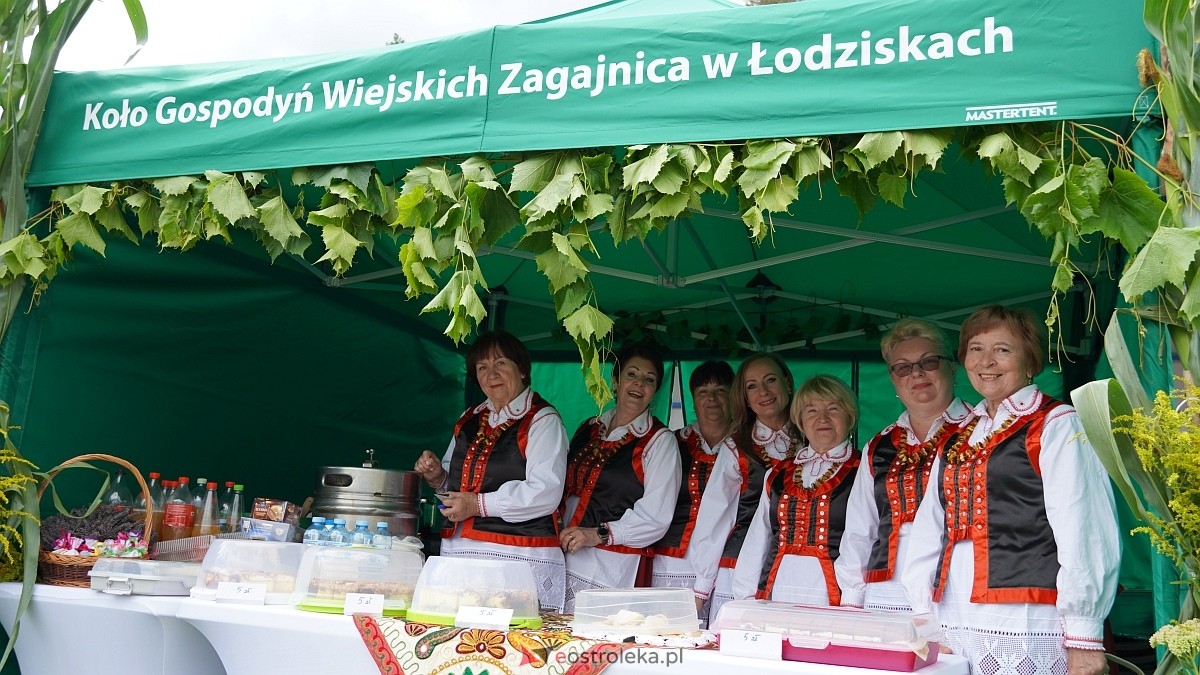 Dożynki Regionalne na Kurpiach w Lelisie [24.08.2025] - zdjęcie #181 - eOstroleka.pl