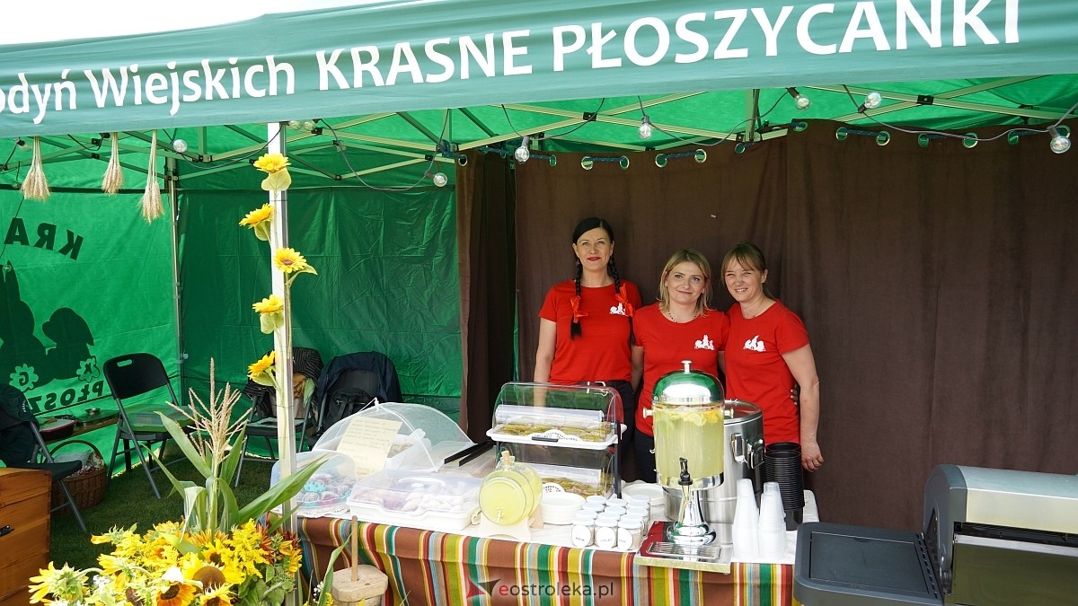 Dożynki Regionalne na Kurpiach w Lelisie [24.08.2025] - zdjęcie #177 - eOstroleka.pl
