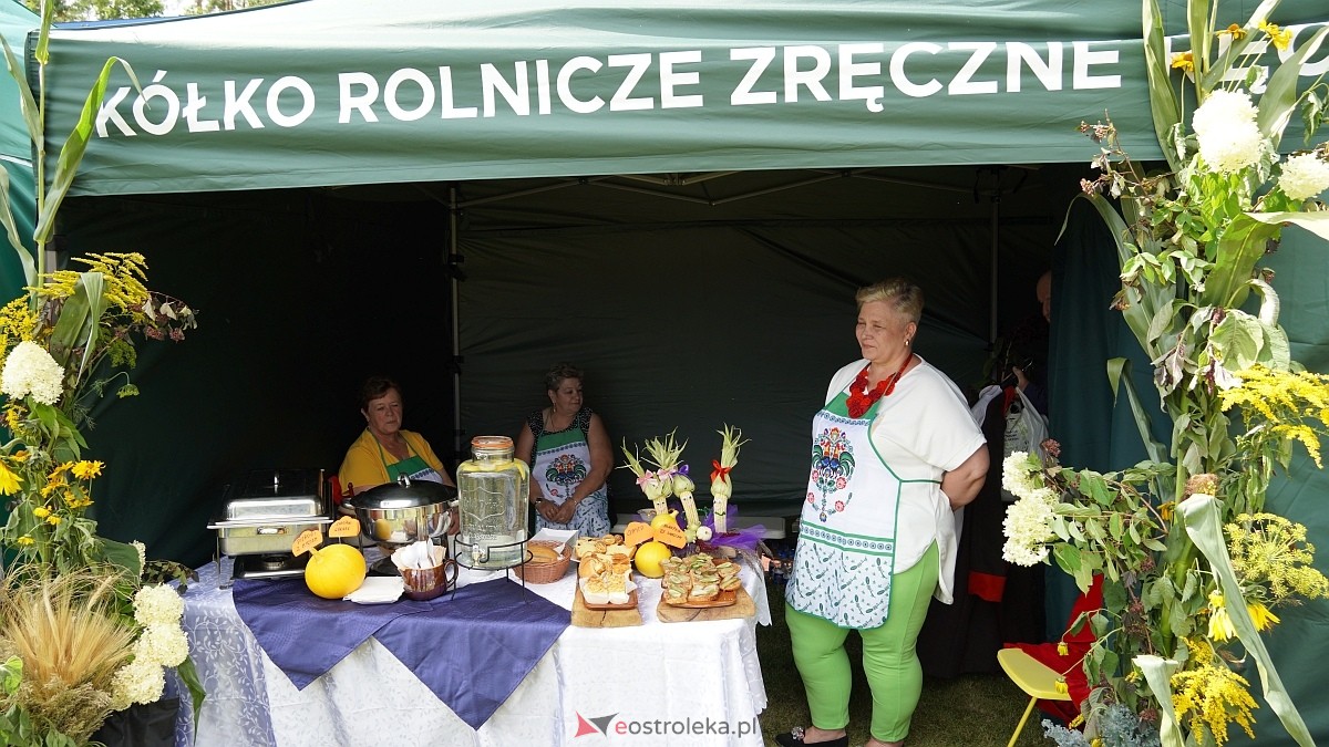 Dożynki Regionalne na Kurpiach w Lelisie [24.08.2025] - zdjęcie #173 - eOstroleka.pl