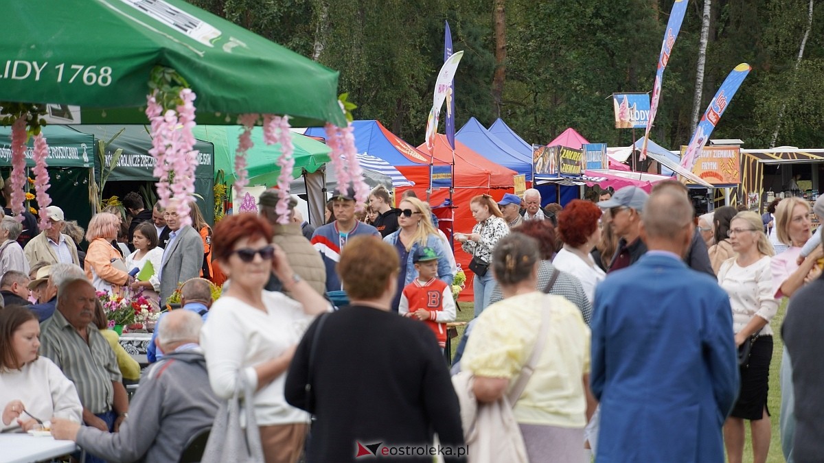 Dożynki Regionalne na Kurpiach w Lelisie [24.08.2025] - zdjęcie #29 - eOstroleka.pl