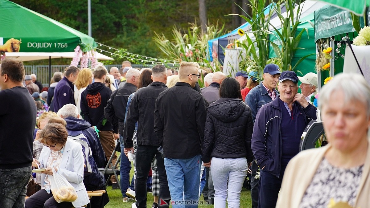 Dożynki Regionalne na Kurpiach w Lelisie [24.08.2025] - zdjęcie #9 - eOstroleka.pl