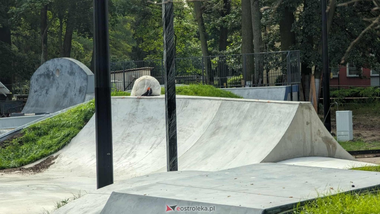 Rewitalizacja parku miejskiego w Ostrołęce [27.08.2025] - zdjęcie #27 - eOstroleka.pl