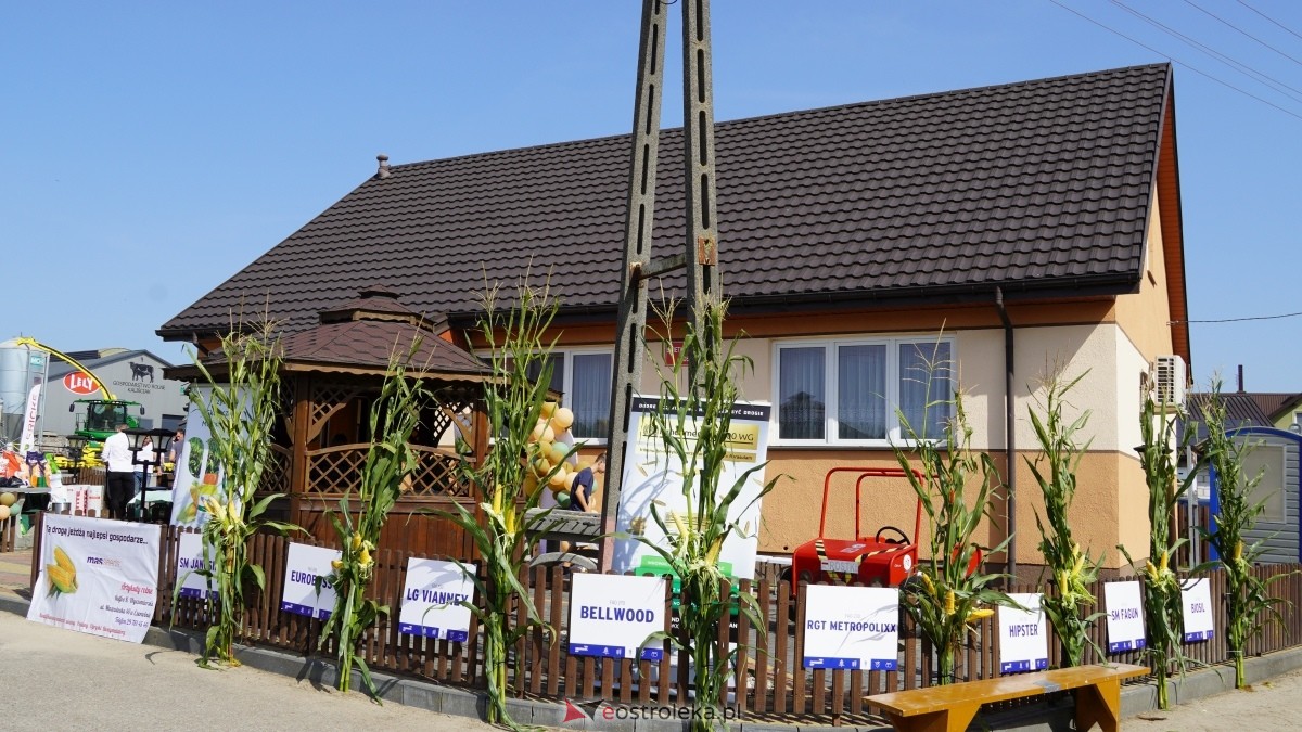 Śwęto Kukurydzy w Rostkach [29.08.2025] - zdjęcie #113 - eOstroleka.pl