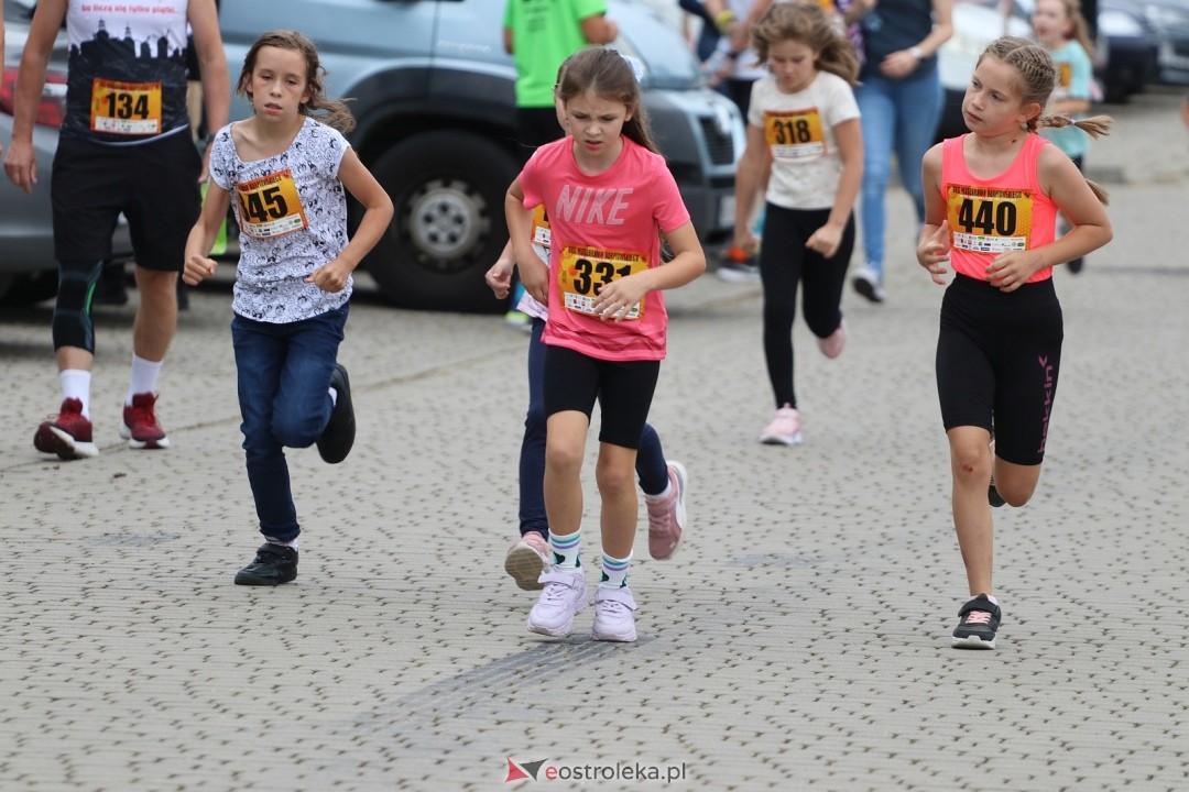 Bieg Miodobrania Kurpiowskiego 2025 [30.08.2025] - zdjęcie #356 - eOstroleka.pl