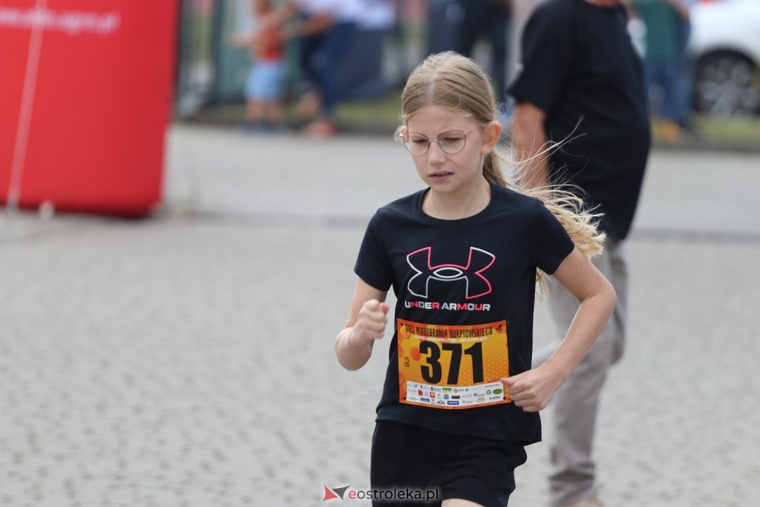 Bieg Miodobrania Kurpiowskiego 2025 [30.08.2025] - zdjęcie #284 - eOstroleka.pl