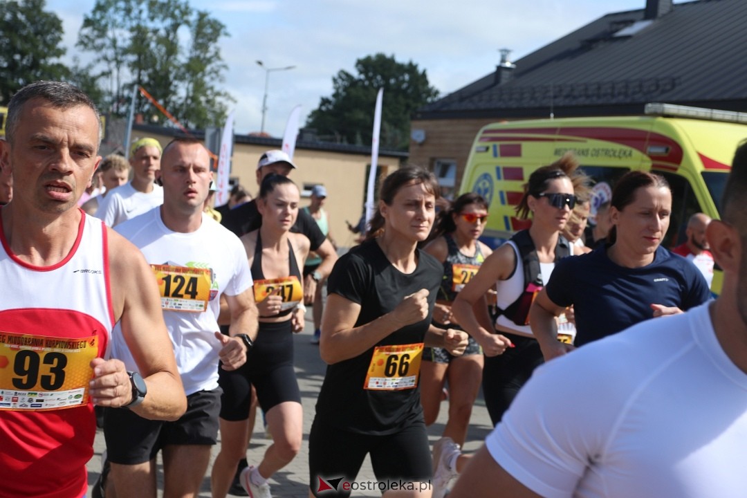Bieg Miodobrania Kurpiowskiego 2025 [30.08.2025] - zdjęcie #155 - eOstroleka.pl