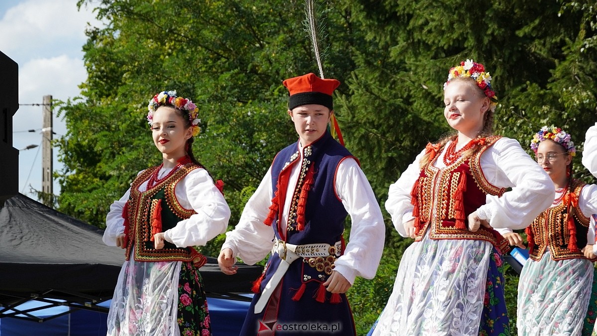 Mazowiecki Piknik Ludowy w Ostrołęce [30.08.2025] - zdjęcie #91 - eOstroleka.pl