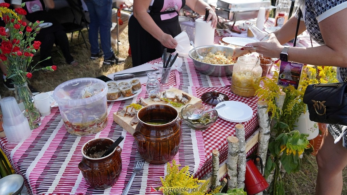 Mazowiecki Piknik Ludowy w Ostrołęce [30.08.2025] - zdjęcie #52 - eOstroleka.pl