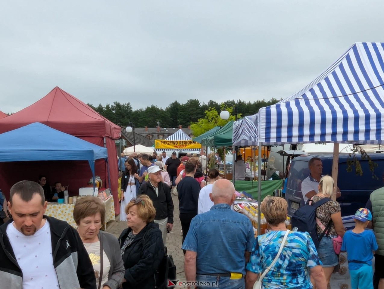 Miodobranie Kurpiowskie 2025 [31.08.2025] - zdjęcie #196 - eOstroleka.pl