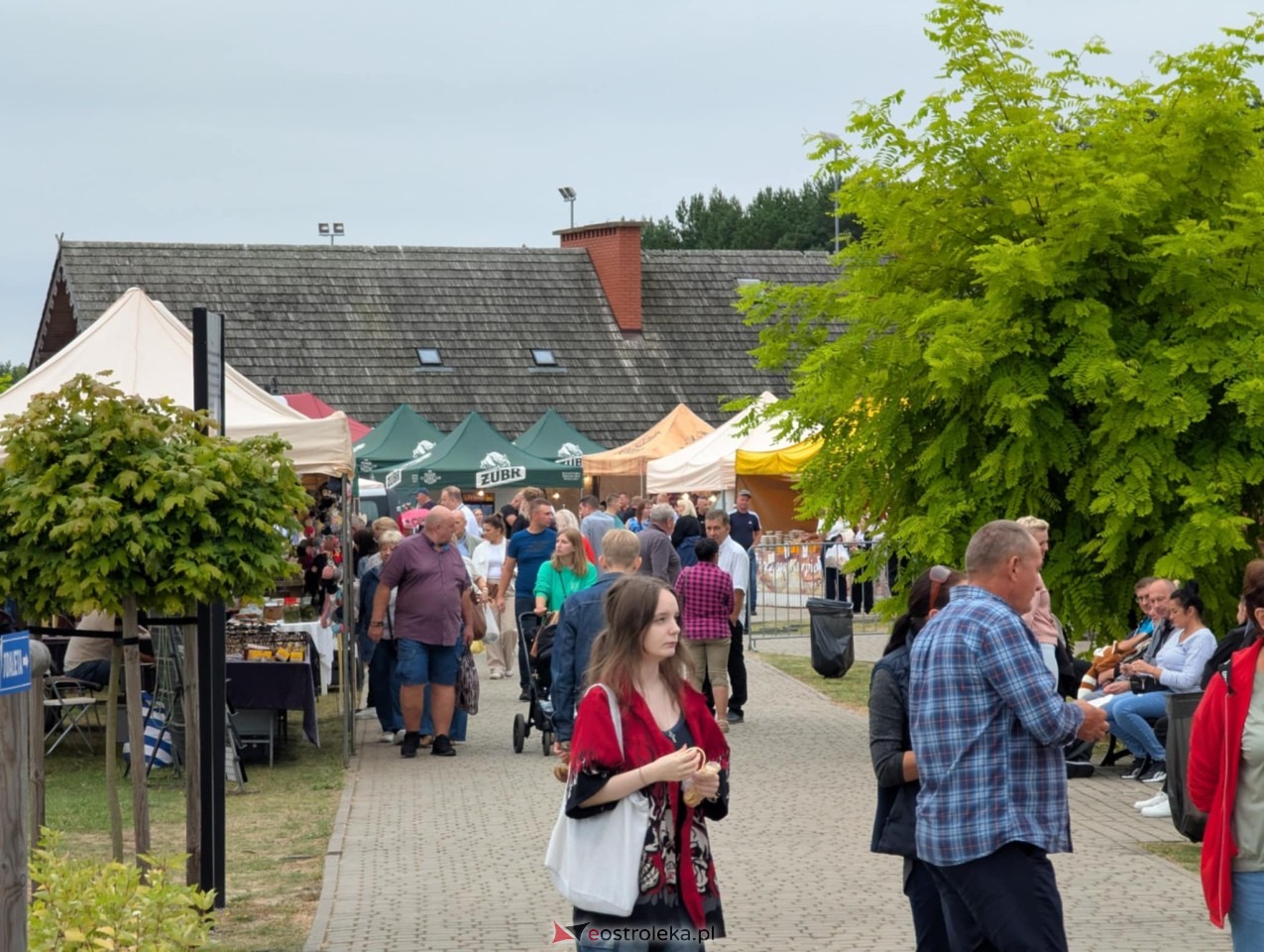 Miodobranie Kurpiowskie 2025 [31.08.2025] - zdjęcie #186 - eOstroleka.pl