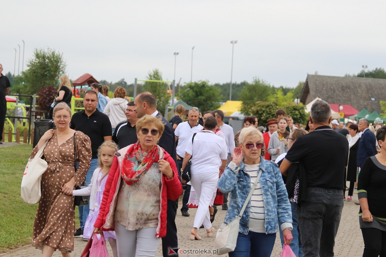 Miodobranie Kurpiowskie 2025 [31.08.2025] - zdjęcie #159 - eOstroleka.pl