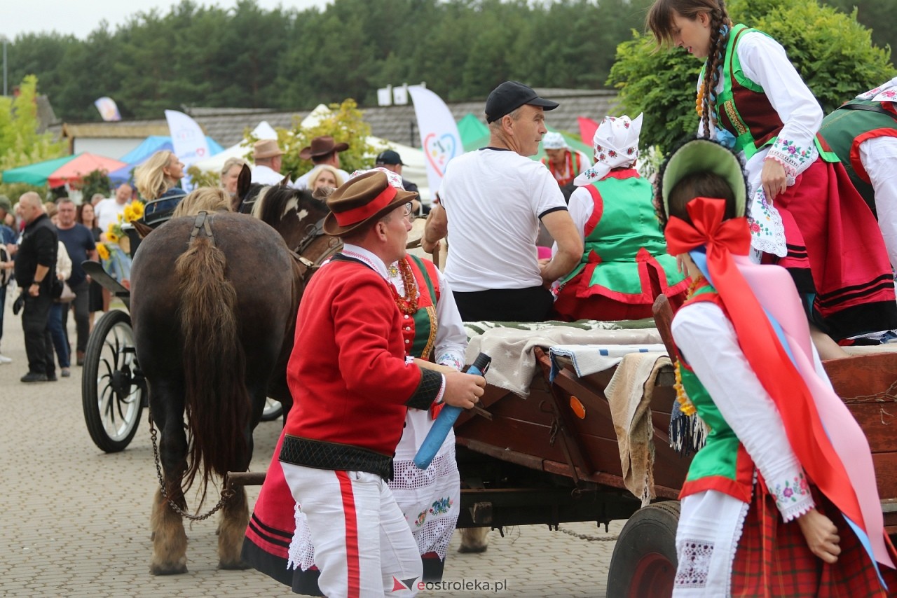 Miodobranie Kurpiowskie 2025 [31.08.2025] - zdjęcie #93 - eOstroleka.pl