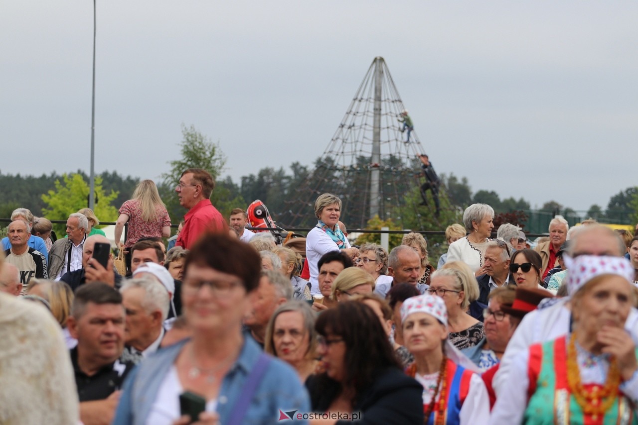 Miodobranie Kurpiowskie 2025 [31.08.2025] - zdjęcie #64 - eOstroleka.pl