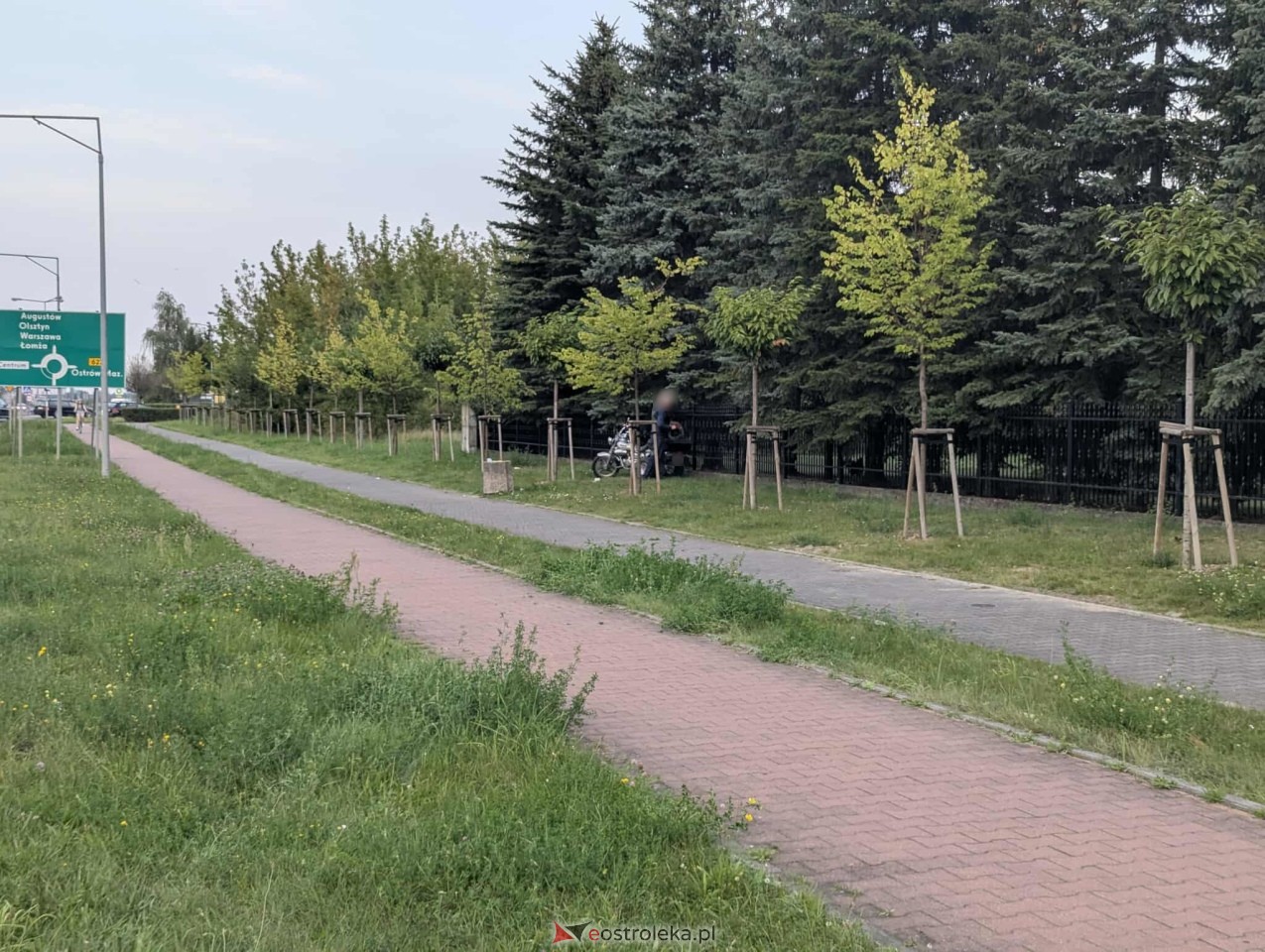 Nietypowy wypadek na ulicy Bohaterów Warszawy [05.09.2025] - zdjęcie #4 - eOstroleka.pl