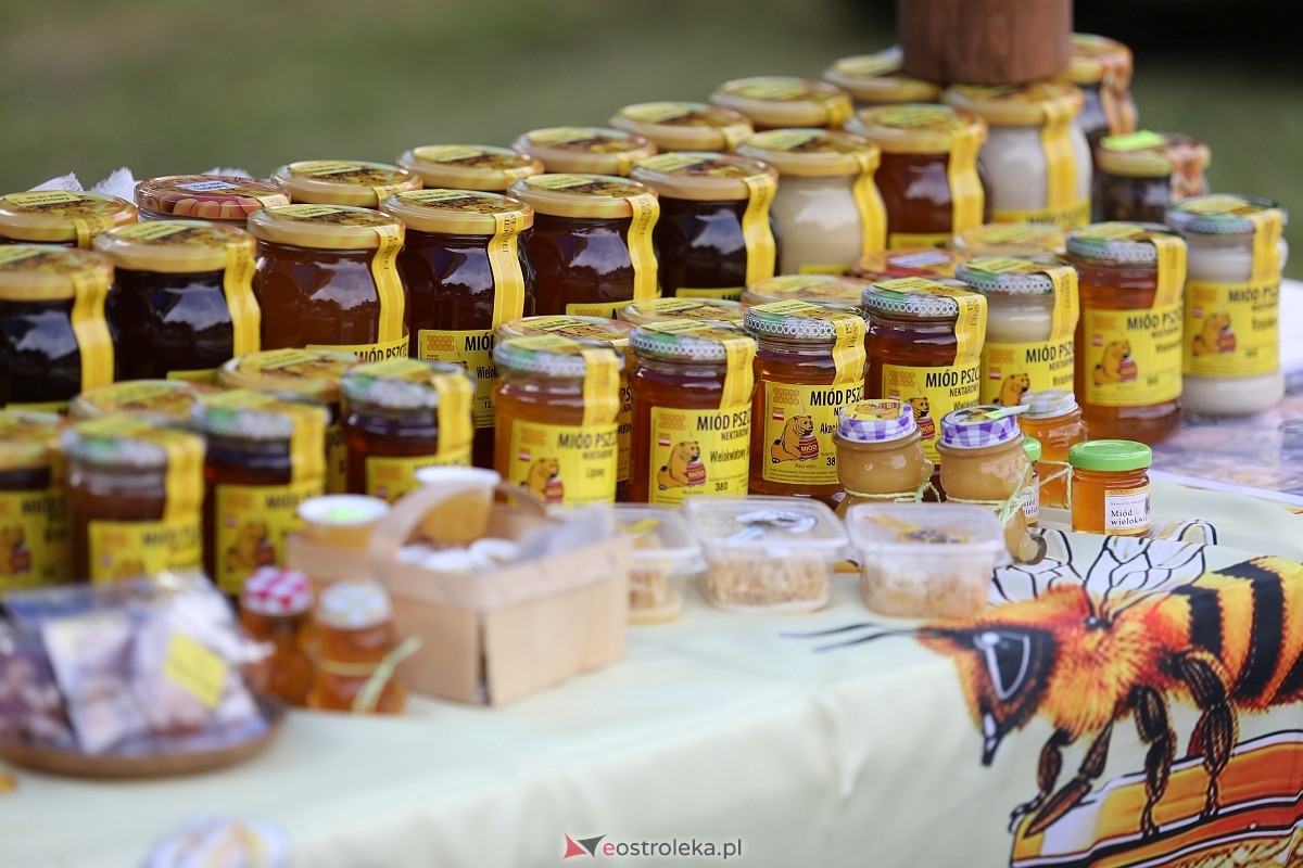 Wrześniowa Biesiada na Wojtkach [06.09.2025] - zdjęcie #67 - eOstroleka.pl