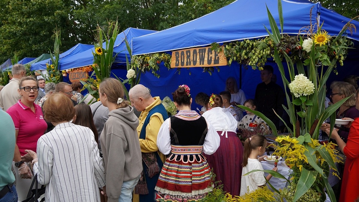 XIII Zajazd Szlachecki czyli święto plonów w Troszynie [7.09.2025] - zdjęcie #240 - eOstroleka.pl