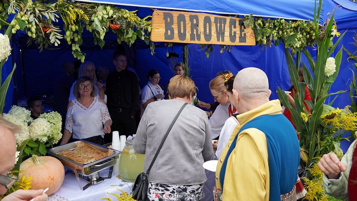 XIII Zajazd Szlachecki czyli święto plonów w Troszynie [7.09.2025] - zdjęcie #239 - eOstroleka.pl